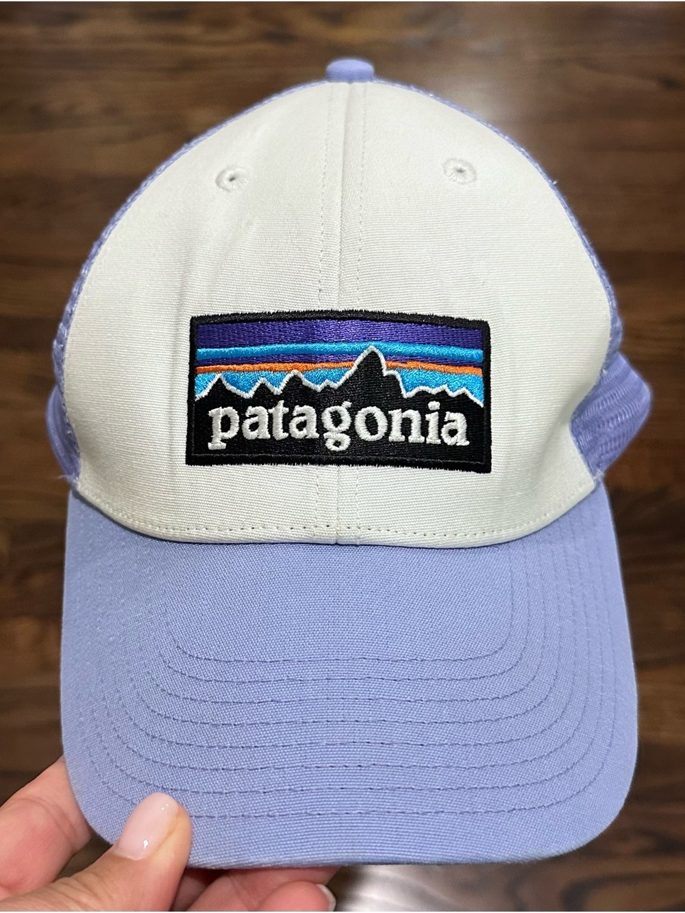 Patagonia Two-Tone Trucker Hat in Light Purple